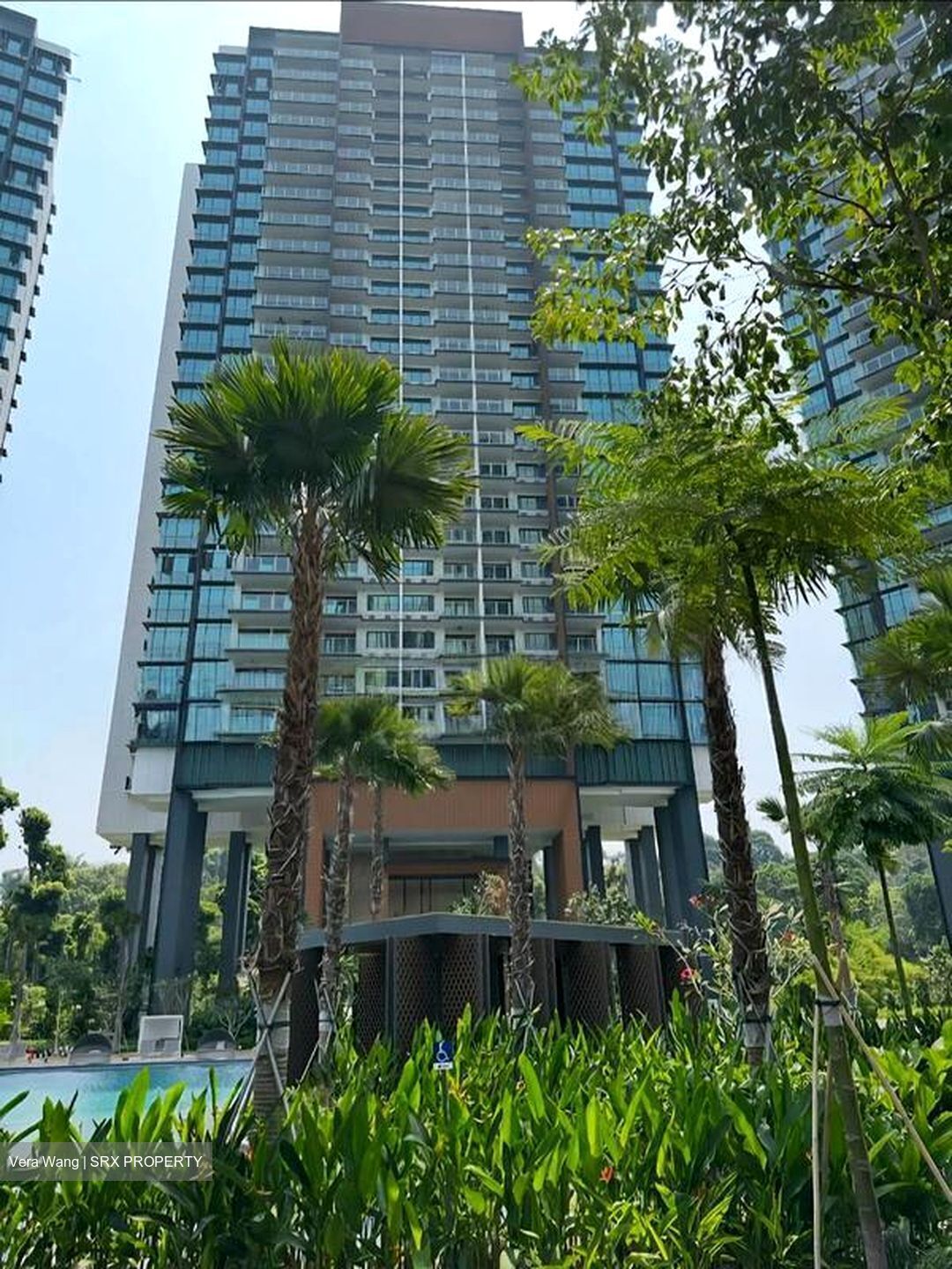 Normanton Park (D5), Apartment #498293321